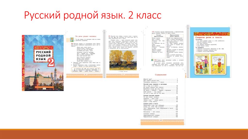 Родной русский язык учебники ответы