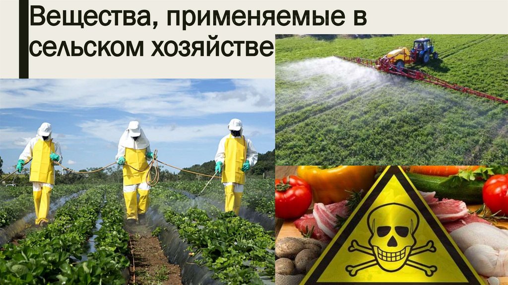 Пестициды приводят к. Пестициды в сельском хозяйстве. Ядохимикаты в сельском хозяйстве. Мутагены в сельском хозяйстве. Вредные химикаты в сельском хозяйстве.