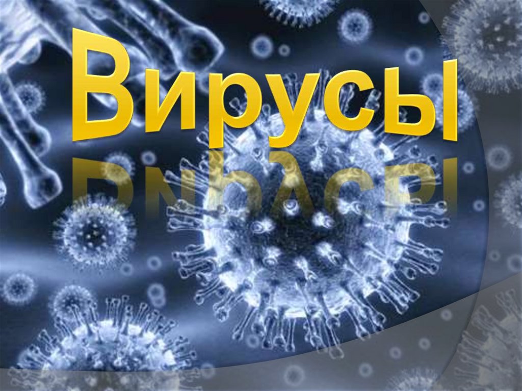Биология 8 вирусы. Вирус. Вирусы биология. Вирусы презентация. Проект про вирусы.