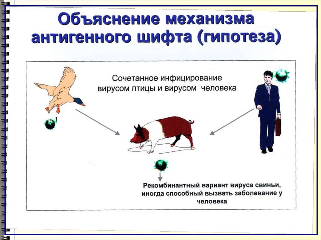 Онкология принципы диагностики и лечения заболеваний презентация