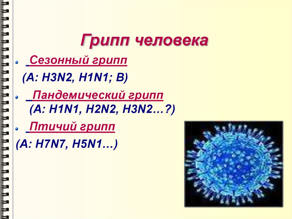 Грипп определение