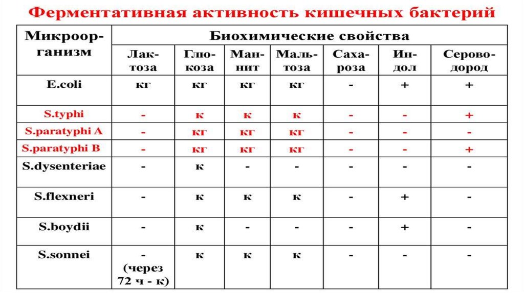 Биохимические свойства. Биохимия сальмонеллы таблица. Salmonella typhi биохимические свойства. Биохимические свойства сальмонелл таблица. Сальмонеллы микробиология биохимические свойства.