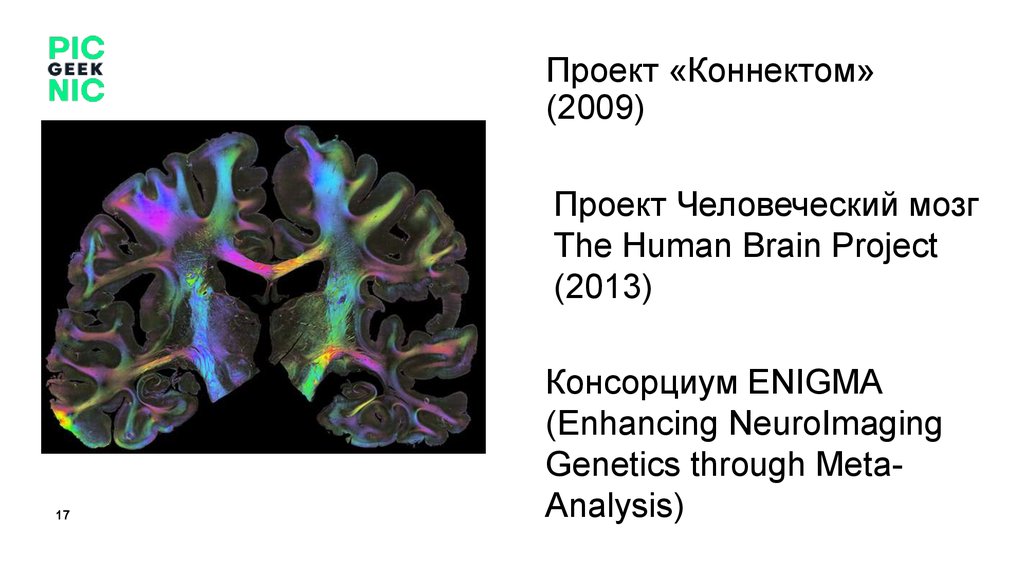 Brain project. Проект коннектом. Human Brain Project презентация. Коннектом презентация. Human Brain Project какие Результаты.