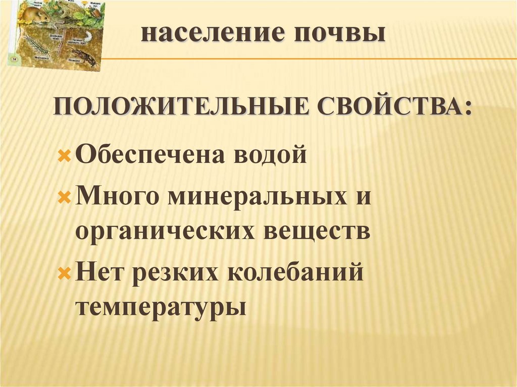 Население почвы. Экологическое значение живого населения почвы.. Живое население почвы. Население почвы составляют организмы.