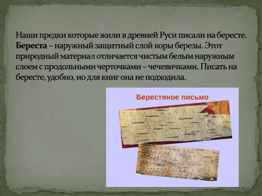 Наши предки которые жили в древней Руси писали на бересте. Береста – наружный защитный слой коры березы. Этот природный