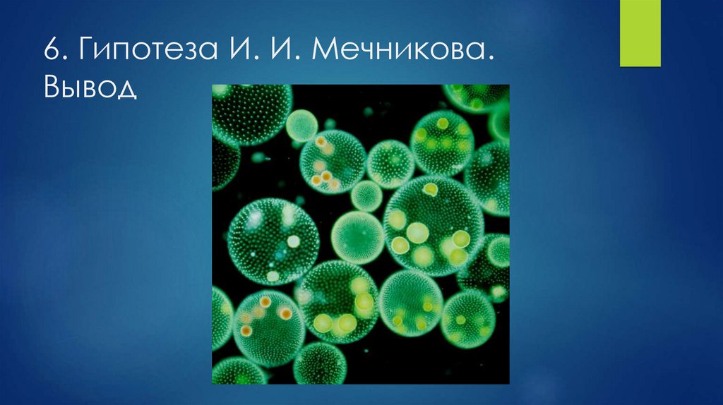 Начальные этапы развития жизни 9 класс презентация