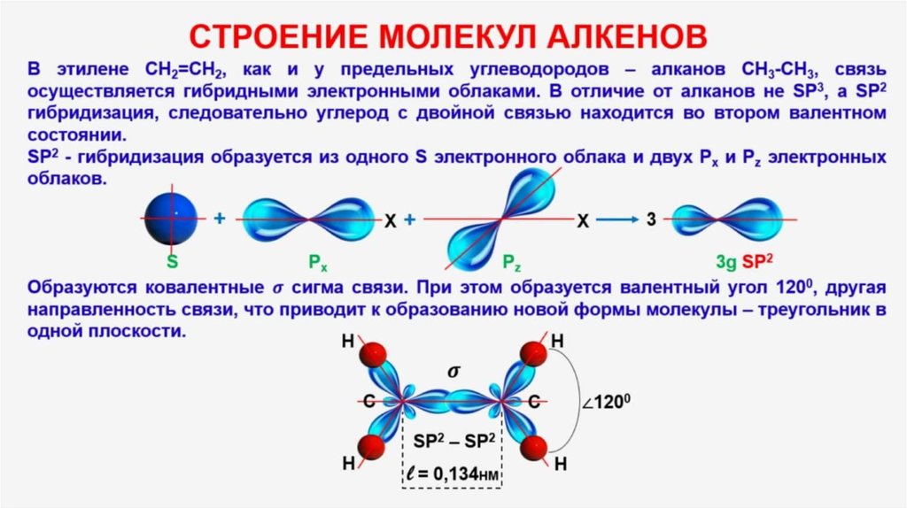 Указать типы гибридизации атома углерода. Электронное строение молекулы этилена и алкенов. Геометрическая форма молекулы Алеков. Механизм образования двойной связи в молекулах алкенов. Сп2 гибридизация форма молекулы.