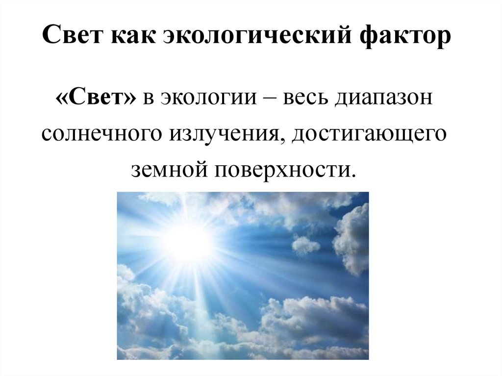 Свет значение. Абиотические факторы соленость воды. Абиотические факторы среды свет. Абиотические факторы Солнечный свет. Свет экологический фактор.