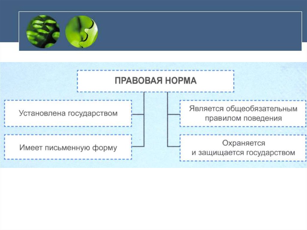 Правовые нормы устанавливаются государством. Правовая норма охраняется и защищается государством. Правовая норма устанавливается. Правовыетнормы охраняются.