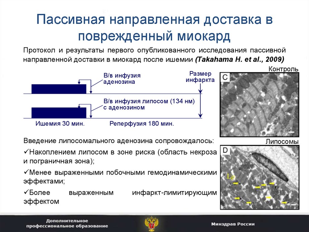 Исследования опубликовано. Достижения нанофармакологии. Биохимические основы движения. Акридиновым оранжевым выявление повреждений миокарда. Накопление аденозина в миокарде приводит к развитию.