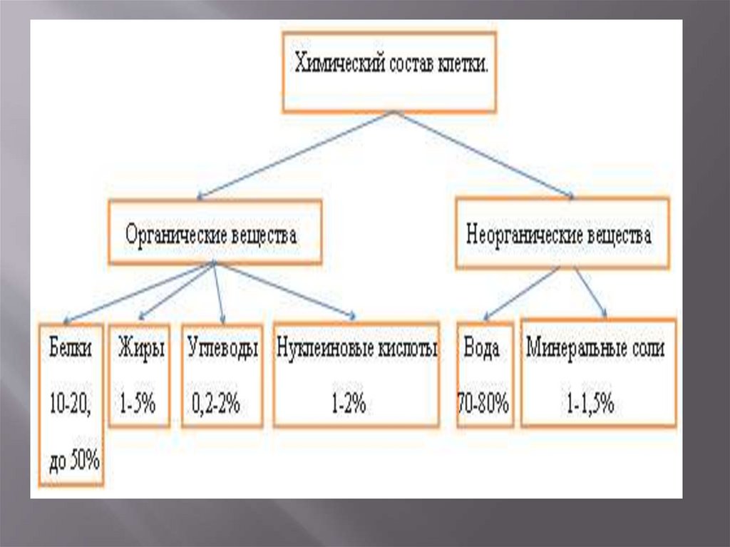 Химический состав клетки процессы жизнедеятельности клетки