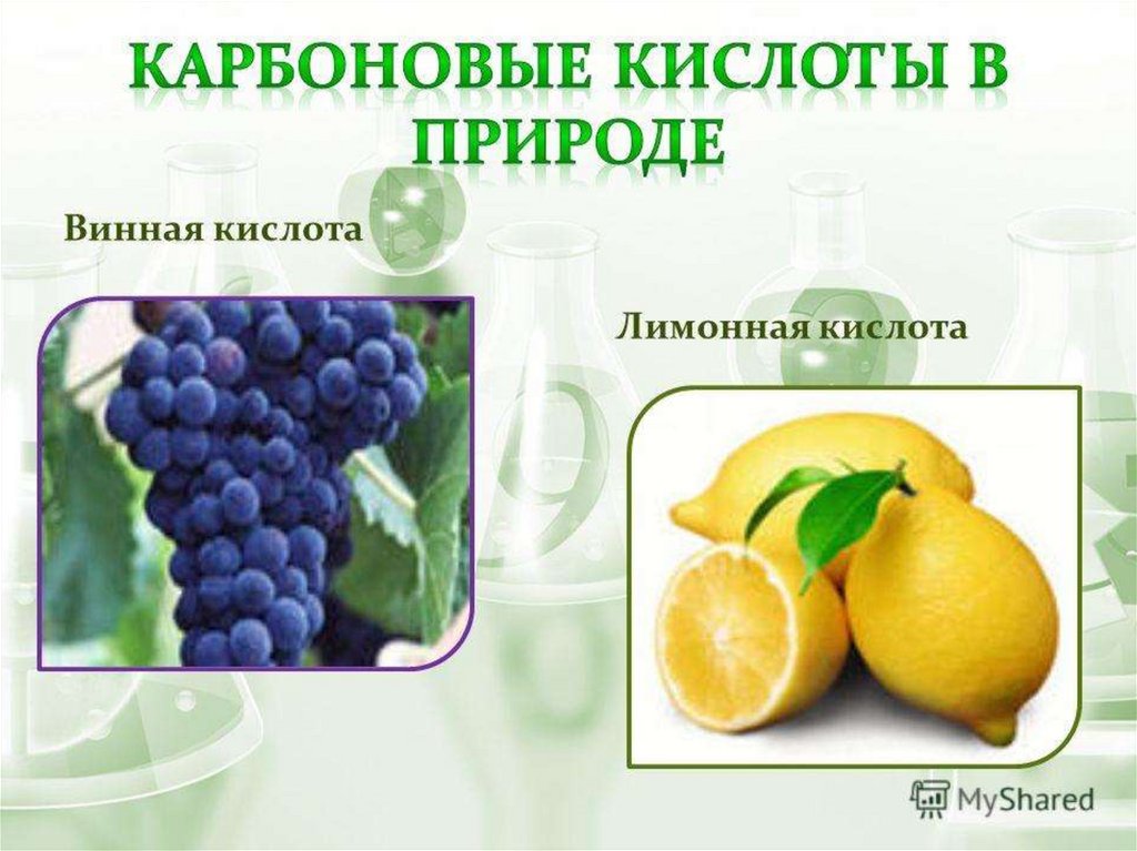 Плодовая кислота. Карбоновые кислоты в природе. Винная и лимонная кислота. Природные карбоновые кислоты. Нахождение в природе карбоновых кислот.