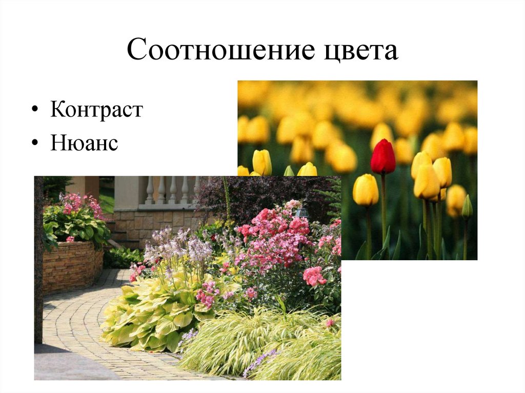 Ощутимая разница соотношение цветов на фото 8