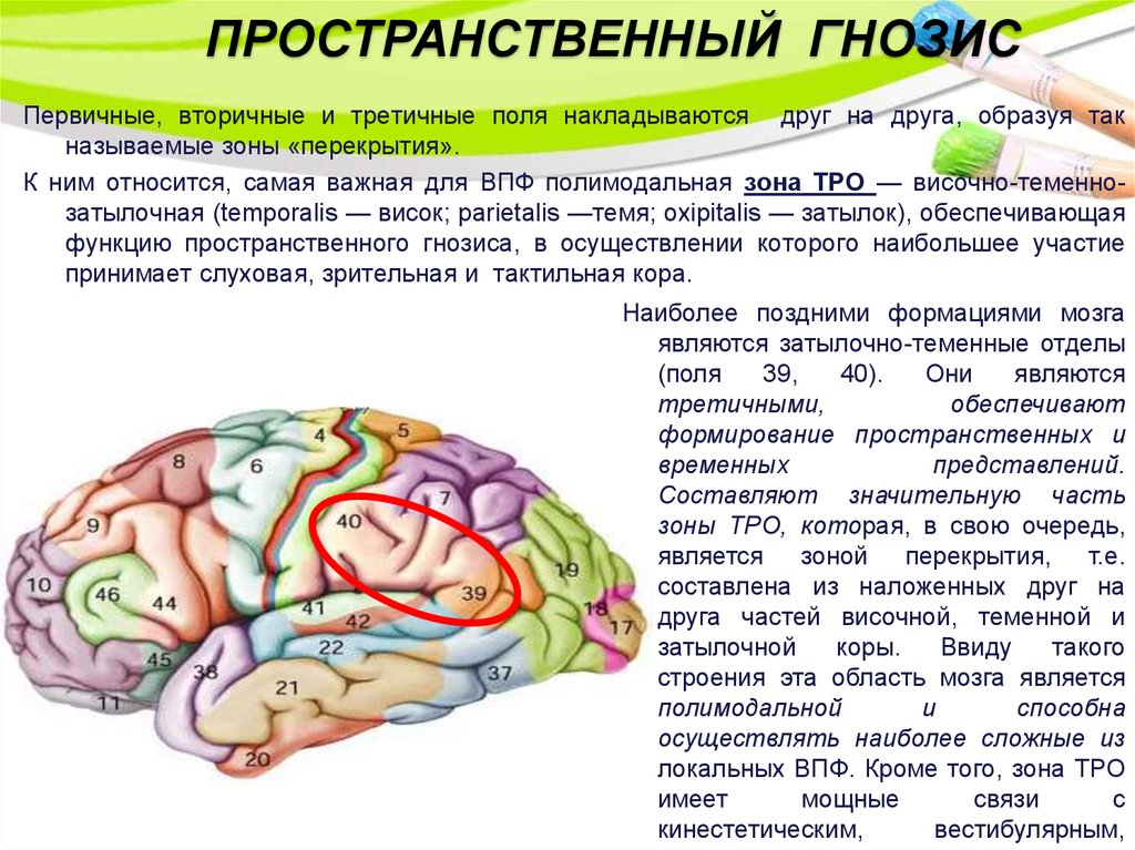 Проблемы экологии сложный план