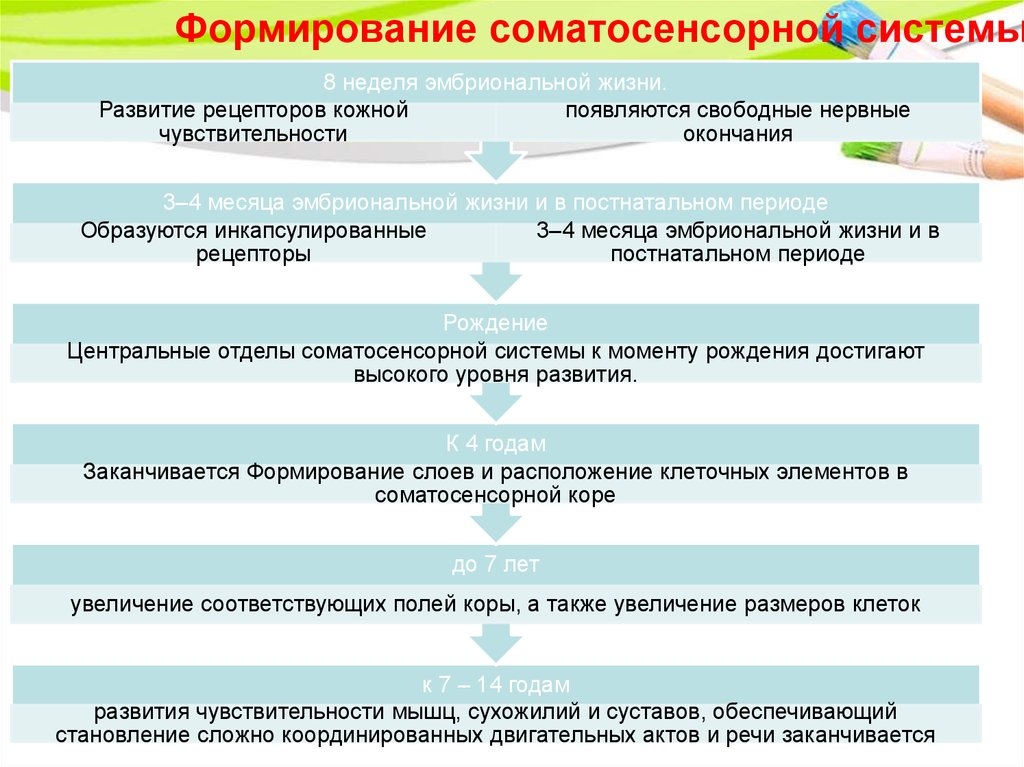 Окружающая среда план егэ