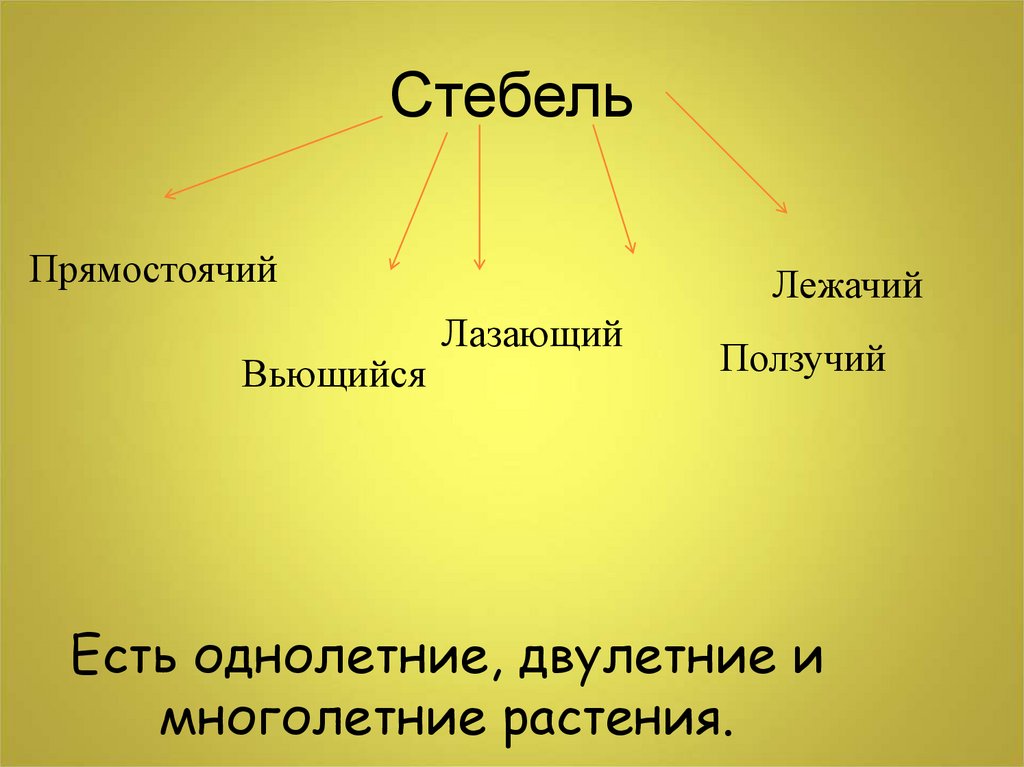 Значение цветковых растений