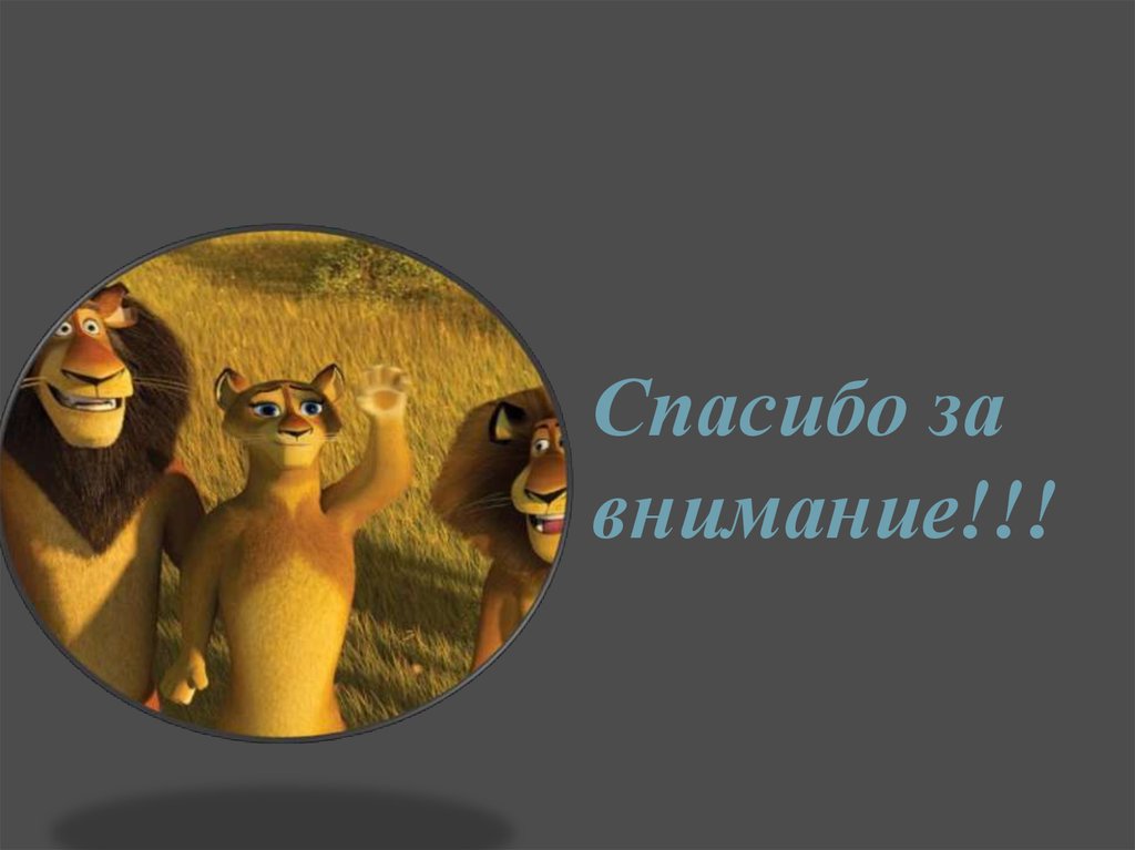 Спасибо за внимание!!!