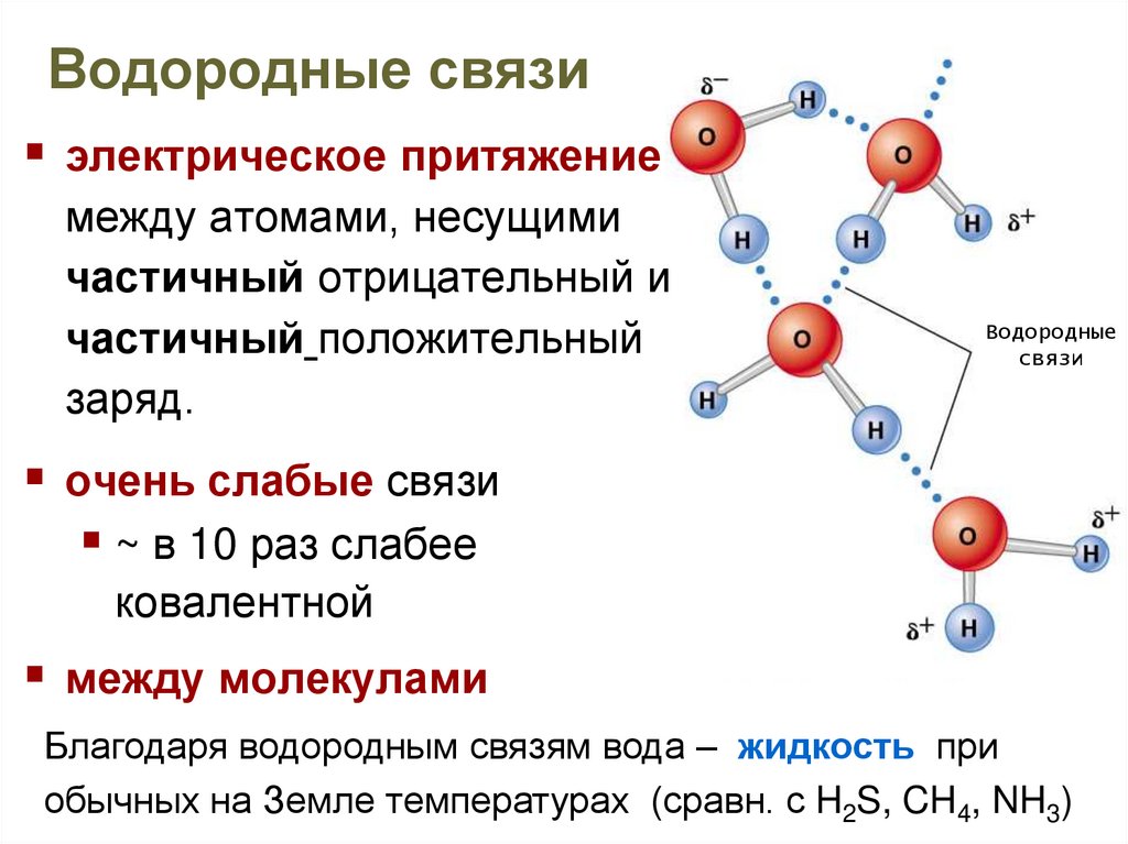Частицы несущие положительный заряд. Как определить водородную связь в химии. Водородная связь химия 8 класс. Как образуется водородная связь в химии. Типы химических связей водородная связь.