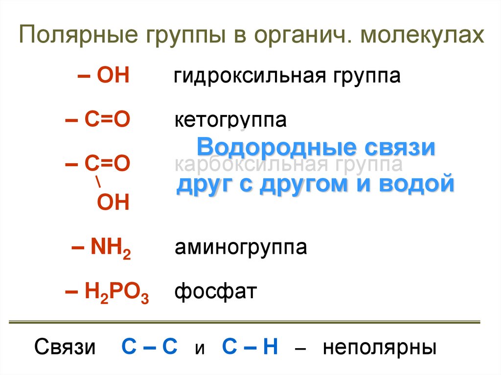 Полярные вещества