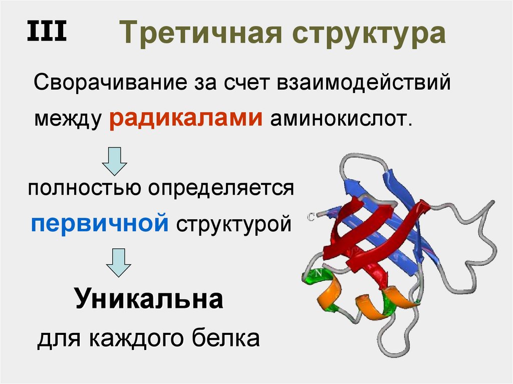 Третичная структура связи. Взаимосвязь первичной и третичной структуры.. Третичная структура аминокислот. Третичная структура представляет собой. Нативная третичная структура.