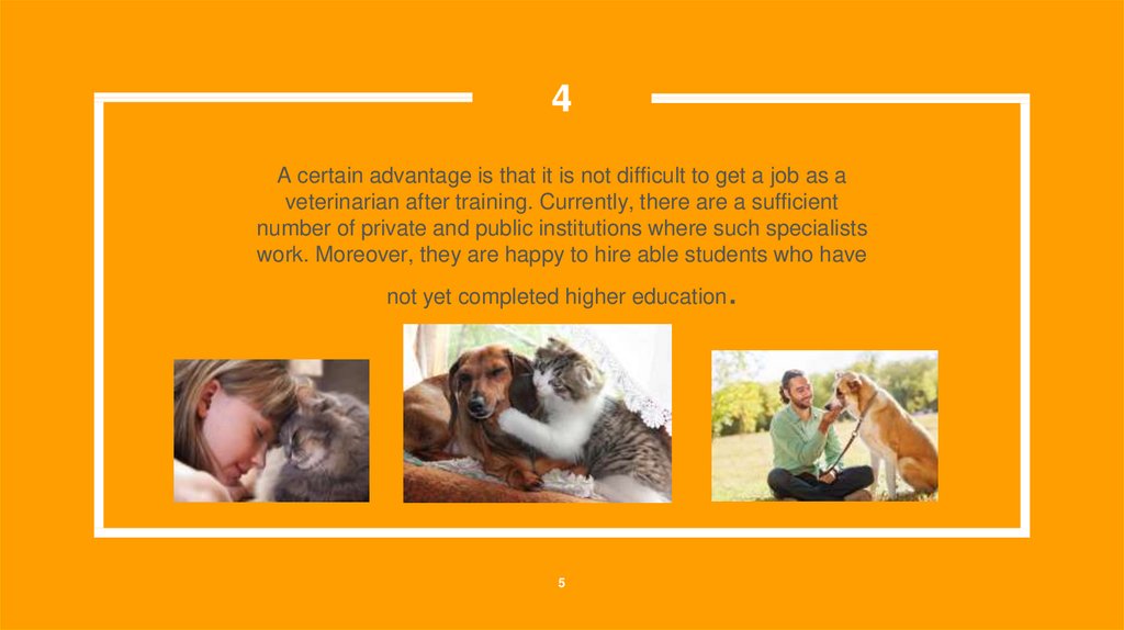 A certain advantage is that it is not difficult to get a job as a veterinarian after training. Currently, there are a