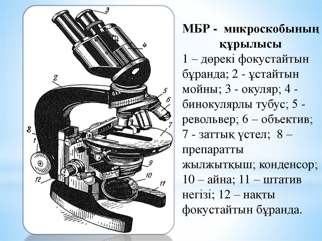 Презентация микроскоп физика