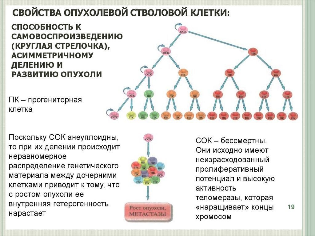 Способность клетки