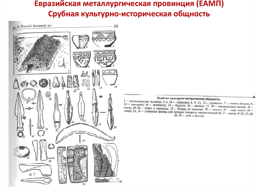 Евразийская металлургическая провинция (ЕАМП) Срубная культурно-историческая общность