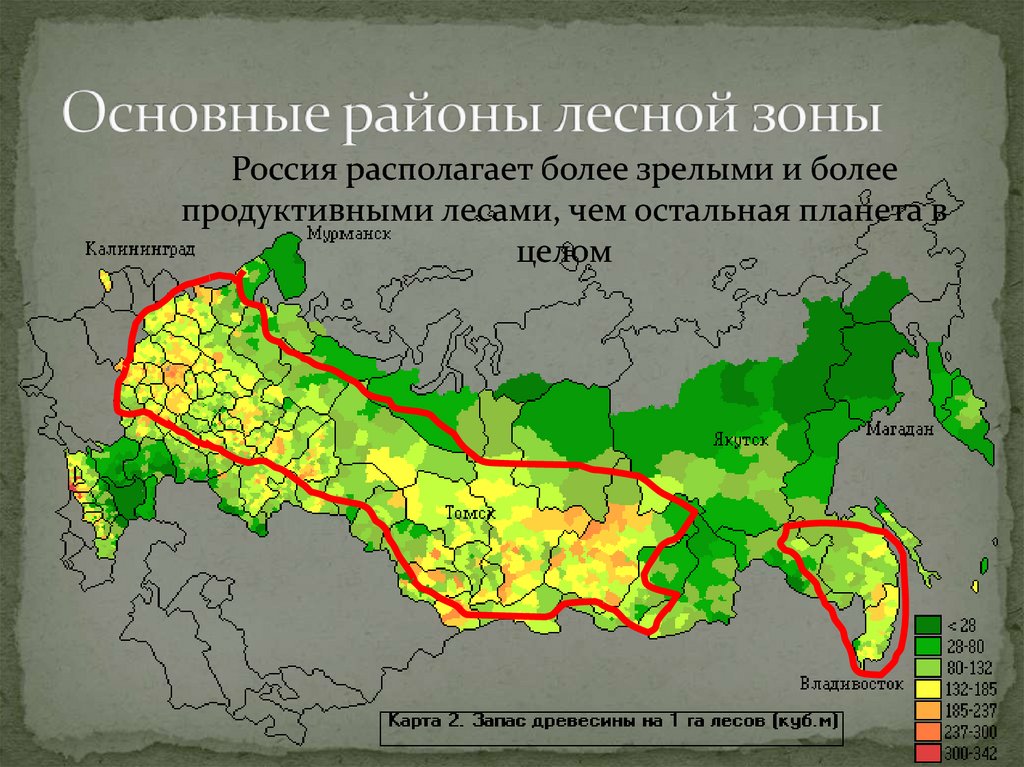 Область расположена в основном в пределах. Районы Лесной промышленности. Леса России карта. Районы Лесной промышленности России. Карта лесных ресурсов РФ.