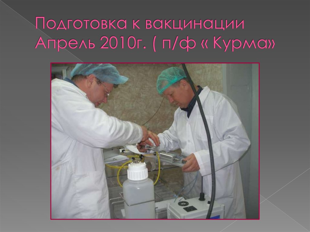 Подготовка к вакцинации Апрель 2010г. ( п/ф « Курма»
