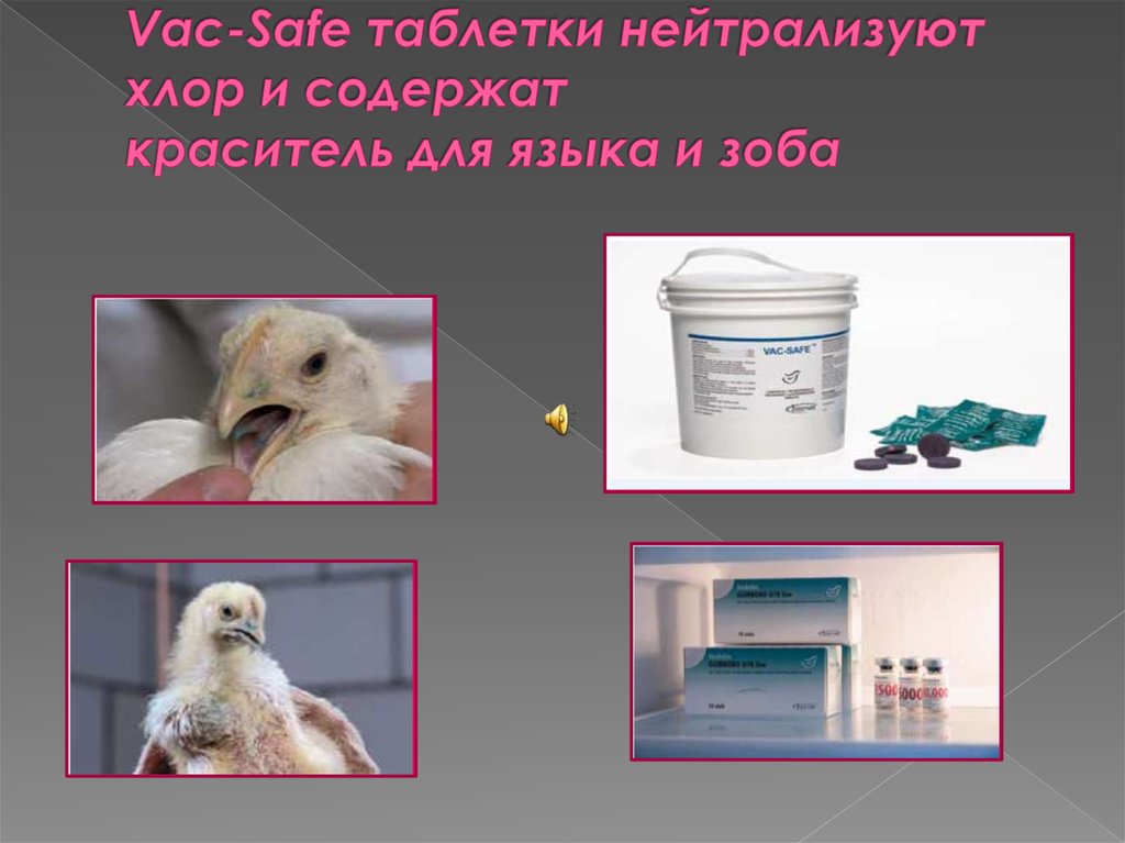 Vac-Safe таблетки нейтрализуют хлор и содержат краситель для языка и зоба