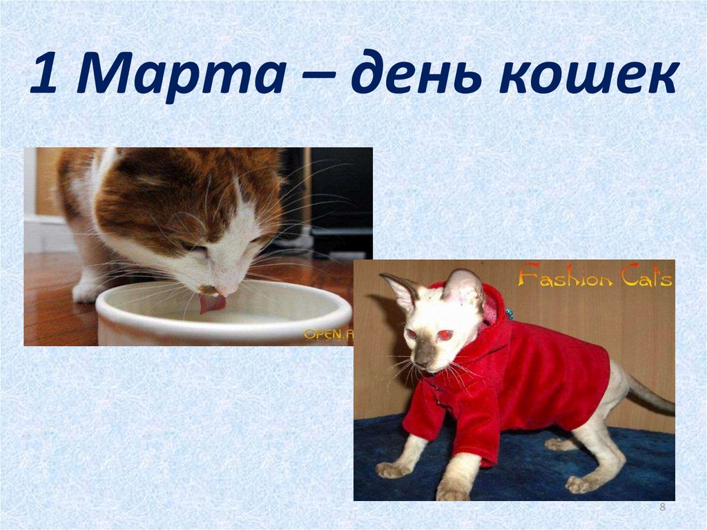 Кошки презентация для детей