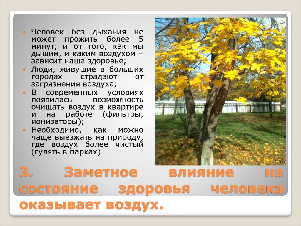 3. Заметное влияние на состояние здоровья человека оказывает воздух.