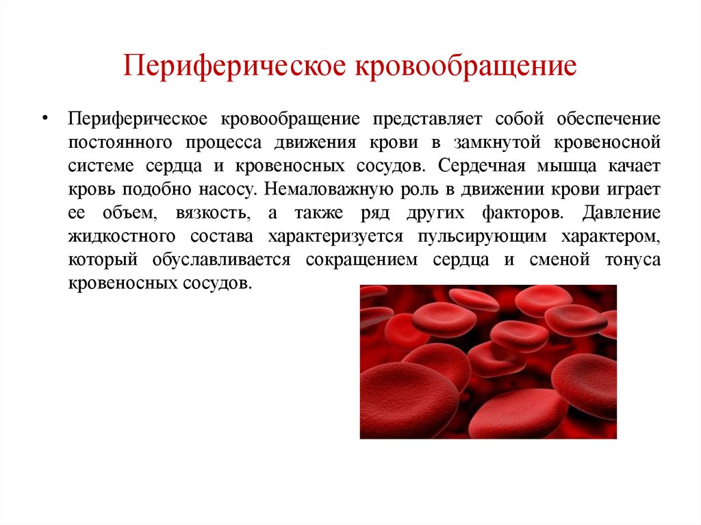 Значение кровообращения. Периферический кровоток. Параметры периферического кровообращения физиология. Понятие о периферическом кровообращении. Периферическое и мозговое кровообращение.