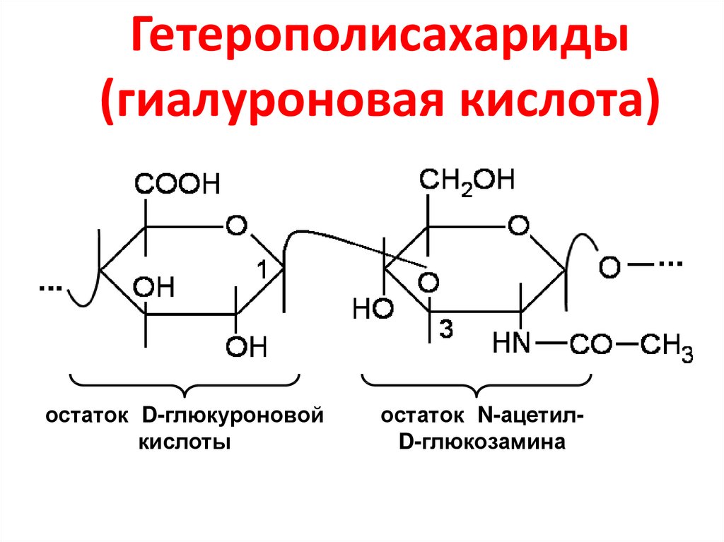 Гетерополисахариды (гиалуроновая кислота)