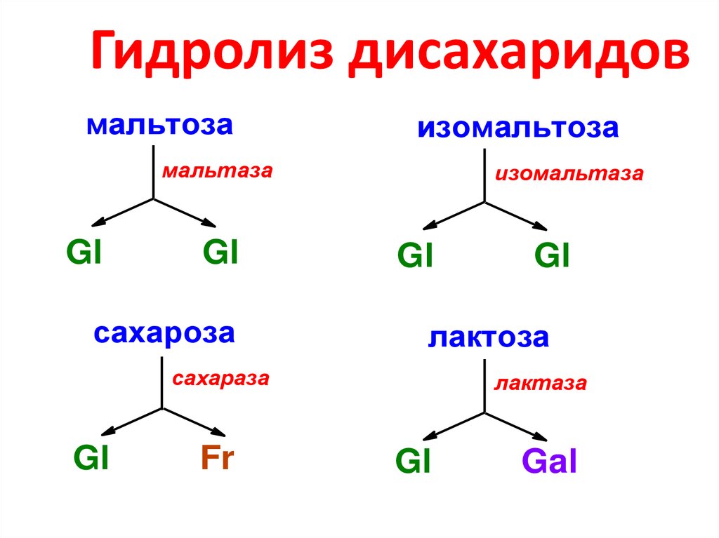 Изомальтоза