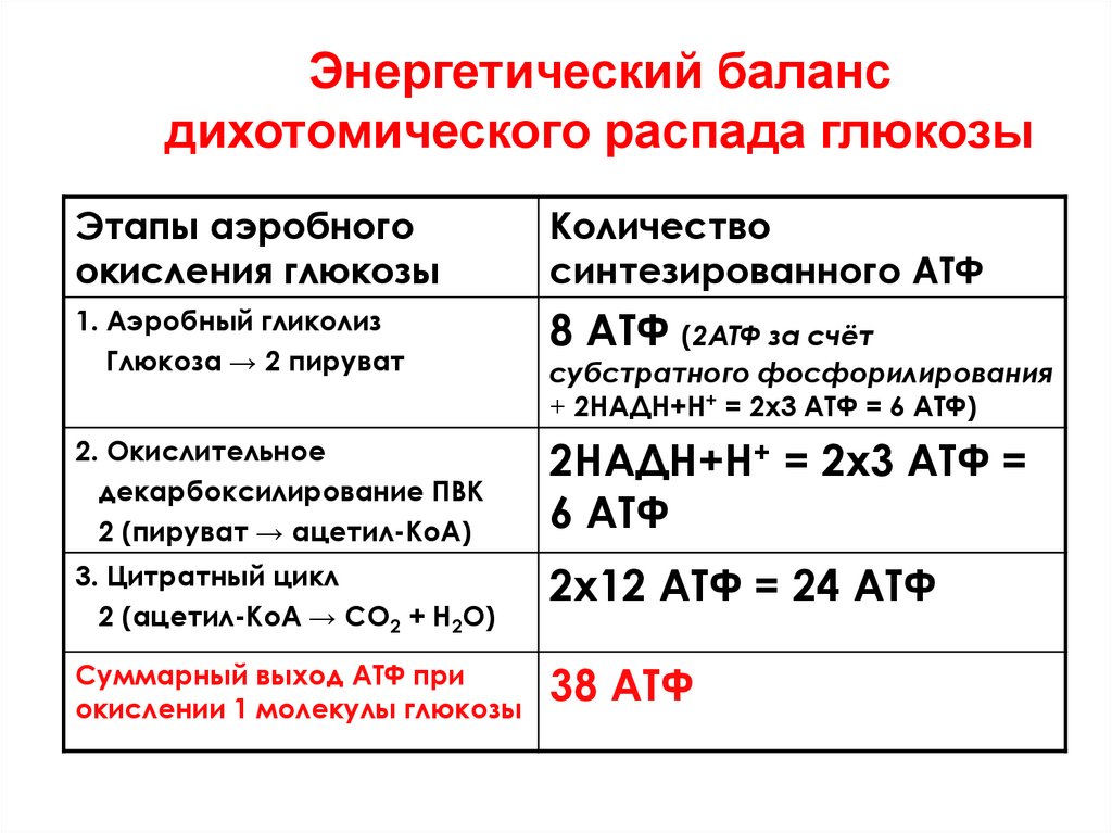 Этапы аэробного распада глюкозы