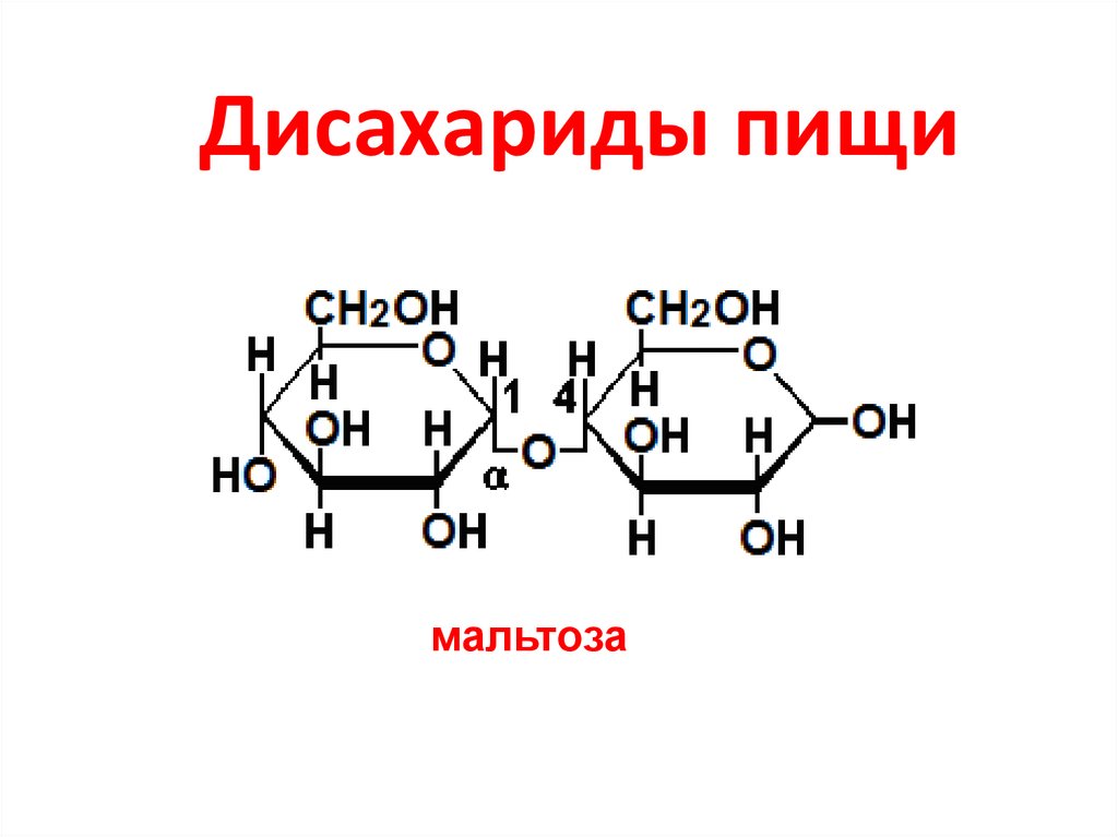 B d мальтоза