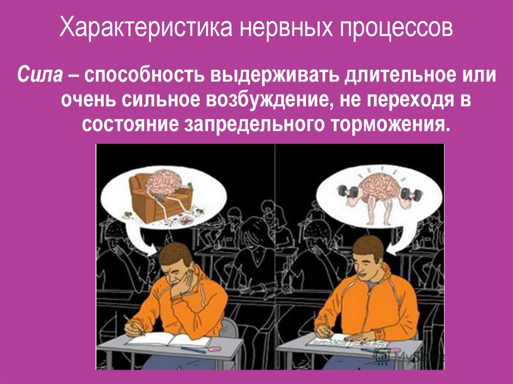 Процесс силы. Сила нервных процессов. Характеристика нервных процессов. Нервный процесс это в психологии. Сила нервных процессов пример.