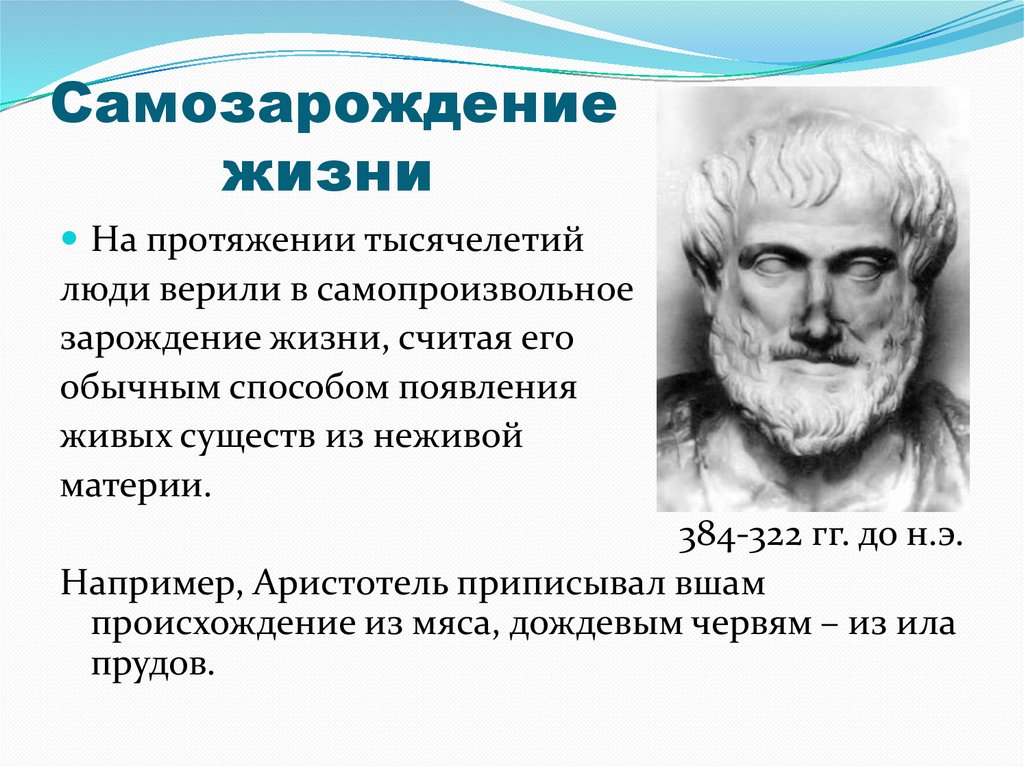 Гипотеза самопроизвольного зарождения жизни фото