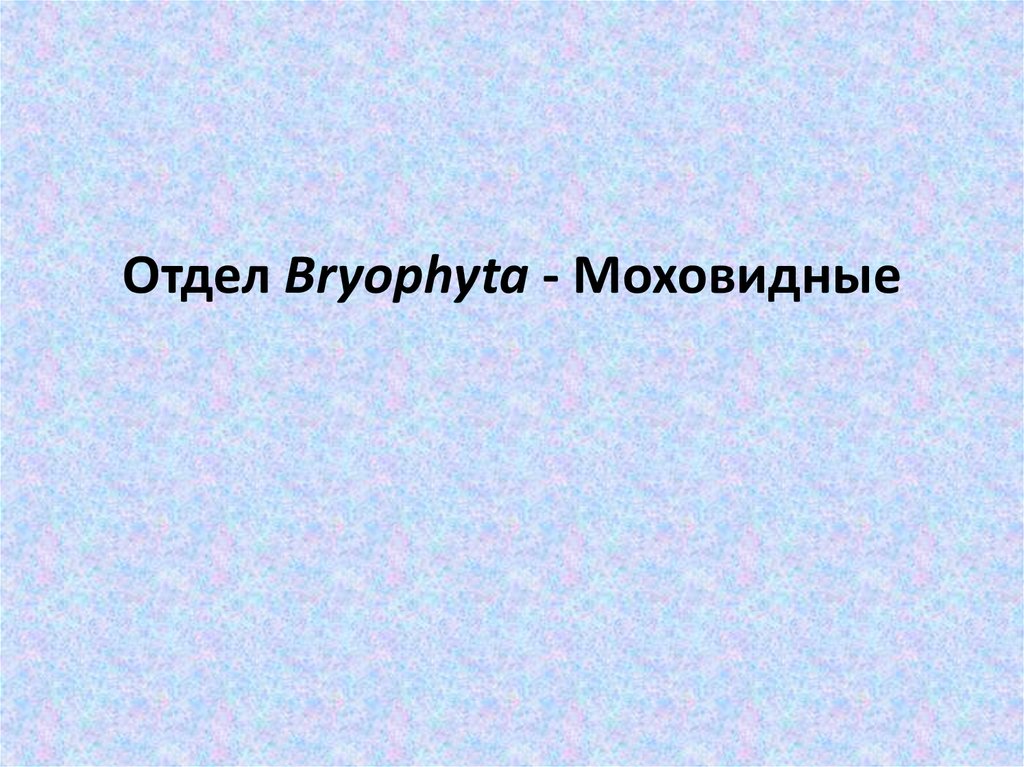 Отдел Bryophyta - Моховидные