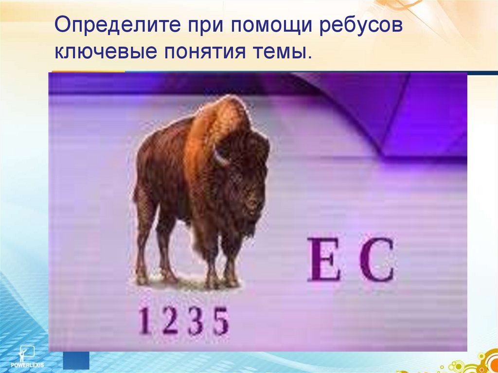 Определите при помощи ребусов ключевые понятия темы.