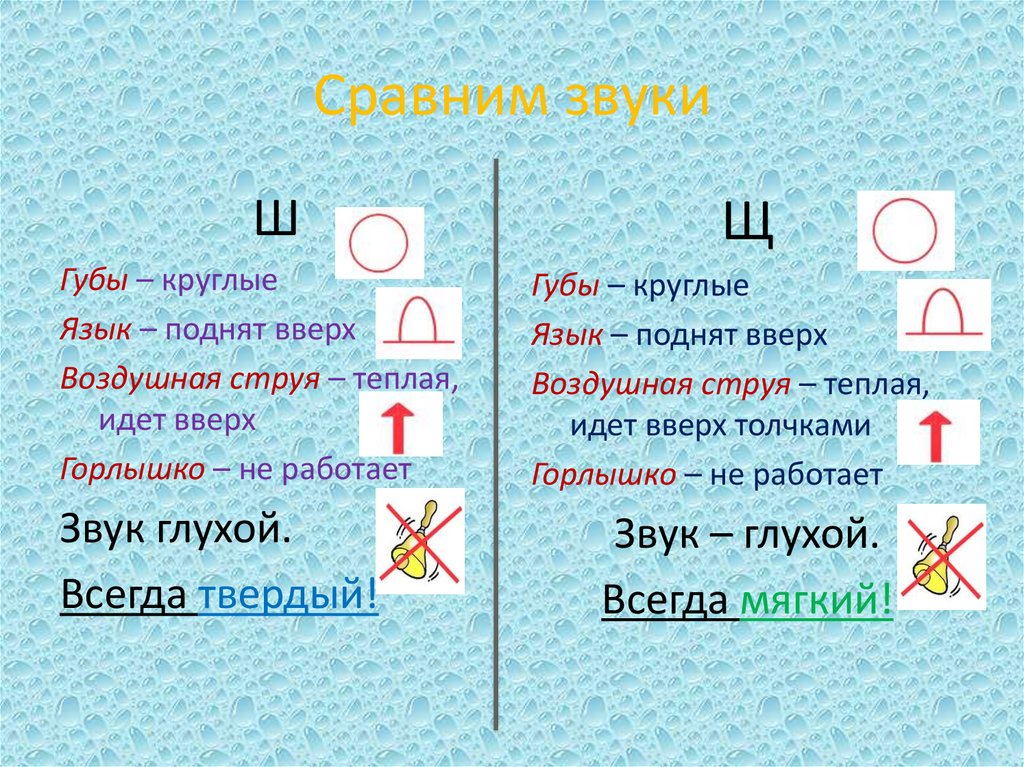 Дифференциация ш щ презентация