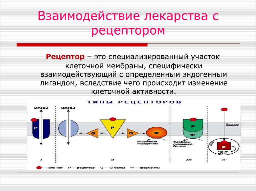 Взаимодействие лекарств. Механизм взаимодействия лекарственных веществ с рецепторами. Типы взаимодействия лекарственных средств с рецептором. Типы взаимодействия лв с рецепторами. Виды взаимодействия рецепторов с лекарственными веществами.