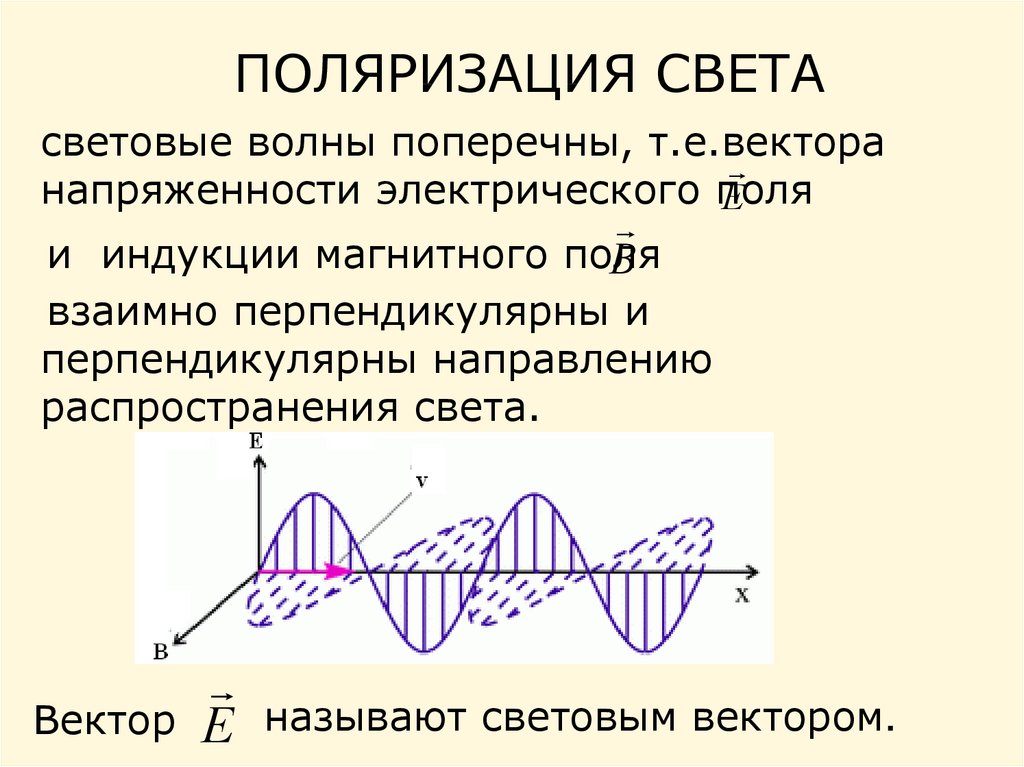 Световой вектор это