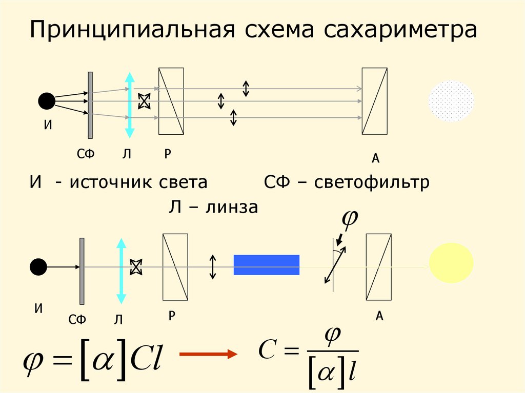 Оптическая схема полярископа