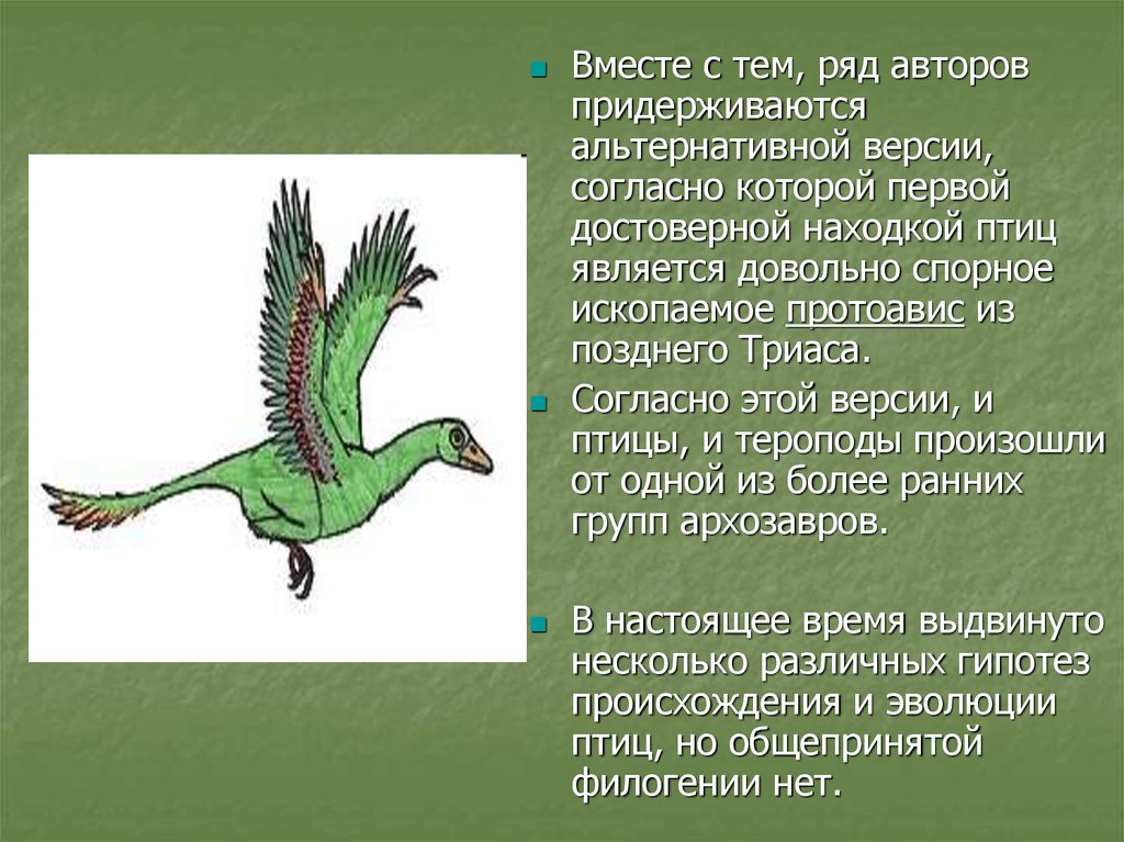 Презентация происхождение птиц. Эволюция птиц. Протоавис. Происхождение птиц. Протоавис признаки пресмыкающихся и птиц.