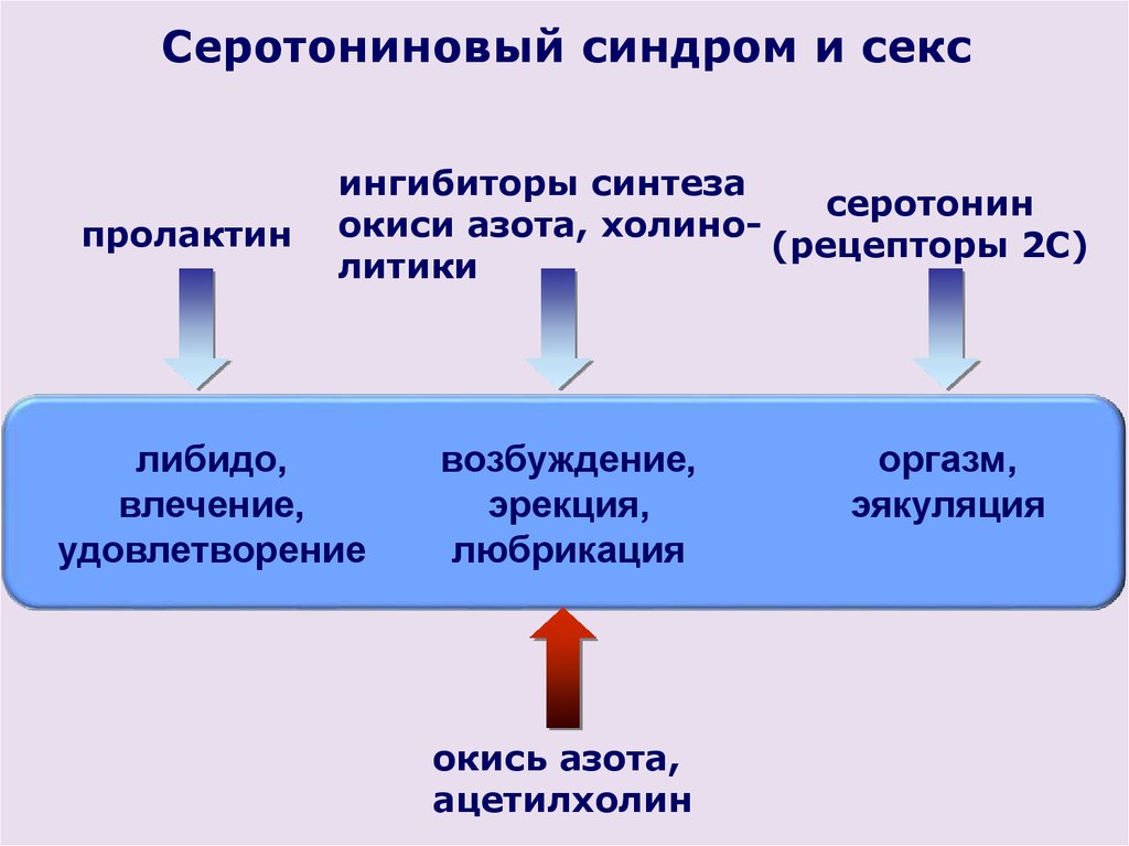 Серотониновый синдром что это такое и симптомы. Серотониновве синдром. Что такое Мелатониновый синдром. Серотониновый синдром симптомы. Серотониновый синдром лечение.