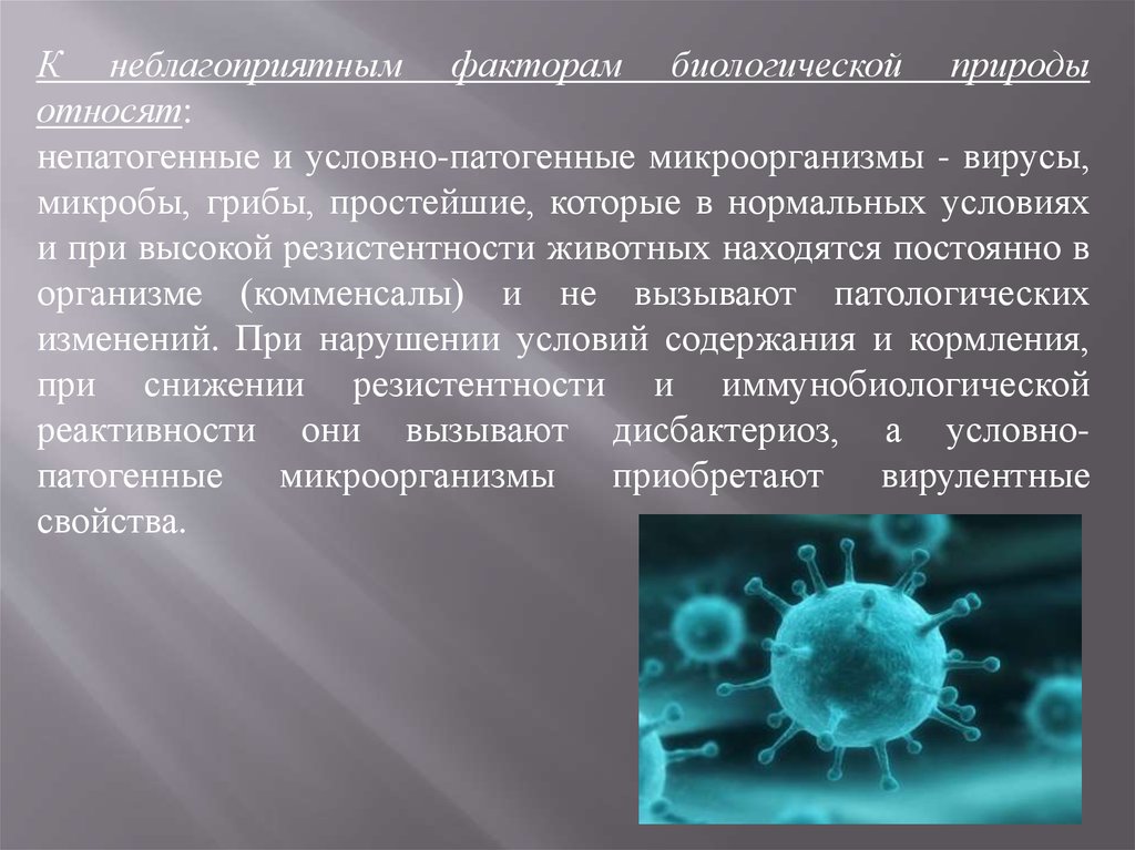 Биологические факторы воды. Патогенные микроорганизмы вирусы. Условно патогенные вирусы. Патогенные условно патогенные и непатогенные. Условно патогенные микробы.