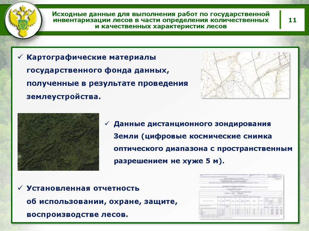 Какой документ является заявлением об использовании лесов в соответствии с проектом освоения лесов